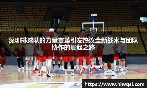深圳排球队的力量变革引发热议全新战术与团队协作的崛起之路