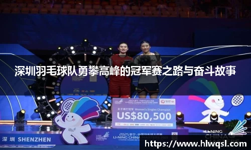 深圳羽毛球队勇攀高峰的冠军赛之路与奋斗故事
